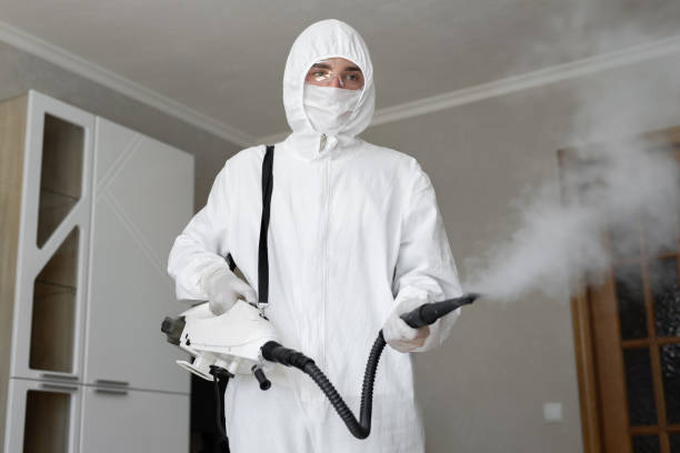 Best Mold Prevention Services in Tool, TX